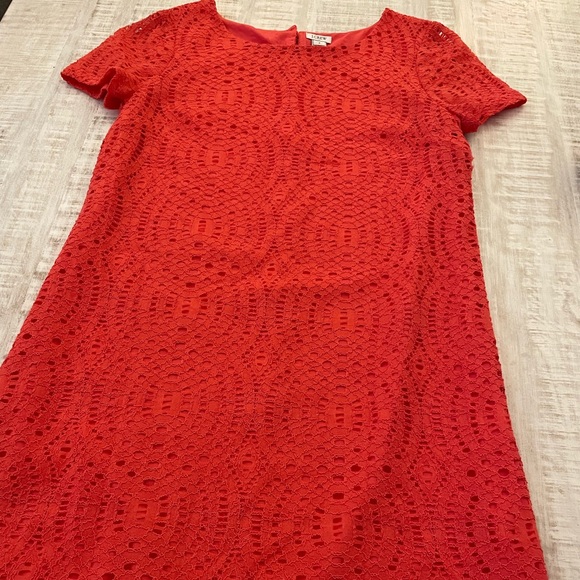 J Crew Coral Lace Lined Shift Dress with Scalloped Hem - Picture 4 of 9